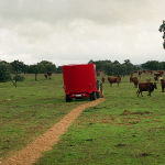 Barrejadores: CLÀSSIC